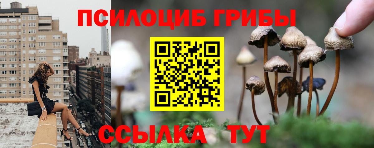 Соль-Илецк  Псилоцибиновые грибы ЛСД  Вход с VPN 