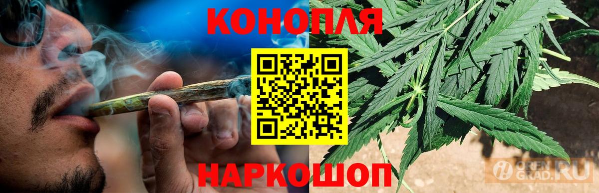 Бошки Шишки сатива  Канабис марихуана  Вход с VPN  Бошки марихуана конопля  Марихуана VHQ  Соль-Илецк 